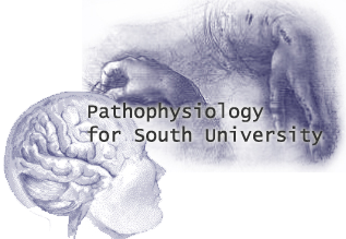 Pathophysiology course 